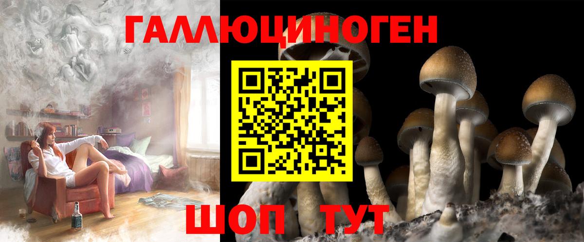 Тайшет  Псилоцибиновые грибы ЛСД  Вход с VPN 