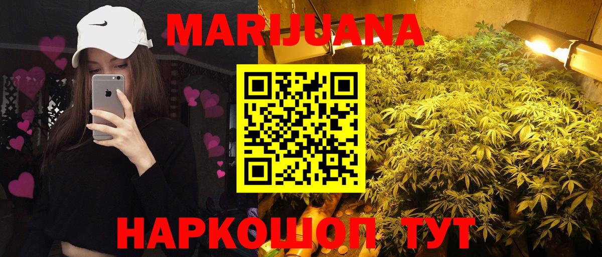 Канабис OG Kush Тайшет